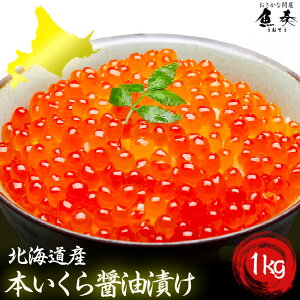 yGg[Ń|Cg10{zY kCY Hgp  CN { ݖЂ500g×21kg Y  Ȗqł͂܂B yӁzkCA͒ǉ