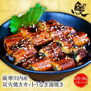 v[g F YYΏăJbgȂĂ 80g×5pbN YȂ  yp N̓ Zbg   EiM V F  yp̉N̓  Ȃ 