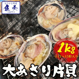 母の日 父の日 2024 ギフト バーベキュー 大あさり 大アサリ 大貝 うちむらさき BBQ 大サイズ 11～15個 居酒屋 海鮮 最安 同梱推奨 BBQ 海鮮 セット ごはん 食事 キャンプ 海鮮バーベキュー