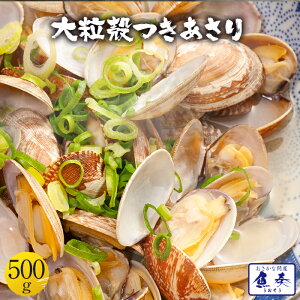 yGg[Ń|Cg10{z嗱L    AT 500g {C^ Lt kt o^[Ă pX^ z X` 嗱 {i Zbg o[xL[ BBQZbg o[