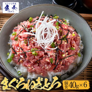 ܂ ˂Ƃ HpbN 40g×6pbN t Zbg H   }O lMg Zbg ͂ H Hו y lߍ킹 Ε 2025 Mtg CN   Ε 