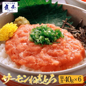 T[ ˂Ƃ lMg 40g×6pbN H HpbN Ⓚ CN Zbg ͂ H Hו y lߍ킹  Tv Ε 2025 Mtg CN   Ε 