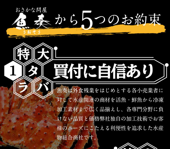 楽天市場】【早割11月30日まで！さらにポイント5倍！】【複数買いでお  