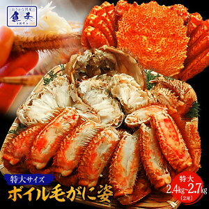 {C уKj p  2.4kg?2.7kg  Jj I т Jj  p ɂ ɓ ъI уKj {CуKj {CъI p  󂠂 Zbg  Ε 2025 Mtg CN  
