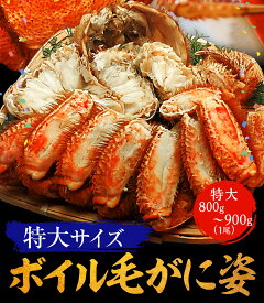 【最短発送受付中】【複数買いでお得なクーポン】 母の日 父の日 2024 ギフト ボイル 毛ガニ 姿 特大 800g～900g かに カニ 蟹 毛がに 毛蟹 カニしゃぶ カニ鍋 かに 激安 かにしゃぶ かに鍋 毛ガニ 姿 けがに ボイル 訳あり セット 業務用 送料無料