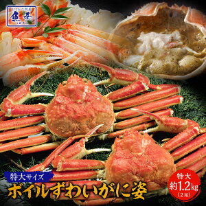 yGg[Ń|Cg10{zyŒZtzyłȃN[|z 2025 킢 p  2 1.2kg  Jj I YCI YCKj {C ɓ {CYCKj Y