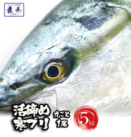 楽天市場 ブリ 産地 都道府県 鹿児島 魚介類 水産加工品 食品 の通販