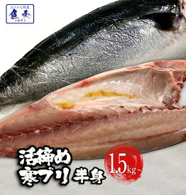 母の日 父の日 2024 ギフト 【冷蔵配送】 フィーレ ぶり ブリ 鰤 寒ブリ 半身 約1.5kg～ 大分産 お刺身用 チルド ぶりしゃぶ ぶり照り 忘年会 おろし済み 贅沢【注意】北海道、沖縄は追加送料を997円加算し、ご請求いたします。 ブリしゃぶ 食品 送料無料