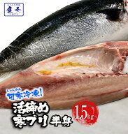 【冷凍配送】ぶり ブリ 鰤 寒ブリ 半身 約1.5kg 大分産 お刺身用 冷凍 ぶりしゃぶ 忘年会 おろし済み 贅…