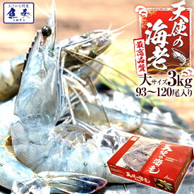 最安値挑戦中 海鮮 天使の海老 有頭 1kg×3 お試し世界最高品質 刺身 生食 冷凍 高級 てんしのえび 送料無料 セット ごはん 食事 食べ物 惣菜 バーベキュー BBQ キャンプ 海鮮バーベキュー