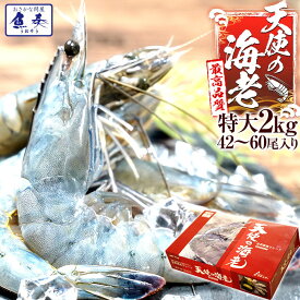 最安値挑戦中 海鮮 天使の海老 有頭 特大サイズ 1kg×2 お試し世界最高品質 刺身 生食 冷凍 高級 てんしのえび 送料無料 セット ごはん 食事 食べ物 バーベキュー BBQ キャンプ 海鮮バーベキュー
