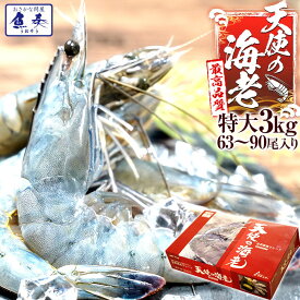 最安値挑戦中 海鮮 天使の海老 有頭 特大サイズ 1kg×3 お試し世界最高品質 刺身 生食 冷凍 高級 てんしのえび 送料無料 セット ごはん 食事 食べ物 バーベキュー BBQ キャンプ 海鮮バーベキュー