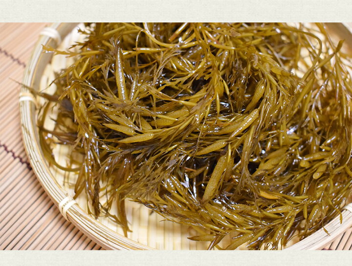 599円 国際ブランド 金華山沖 アカモク 100g 5セット 冷凍 無添加 無着色 保存料 化学調味料不使用 海藻 あかもく ギバサ ぎばさ 免疫力アップ スーパーフード ギフト 599円 国際ブランド 金華山沖 アカモク 100g 5セット 冷凍 無添加 無着色 保存料 化学調味料不使用 海藻 あかもく ギバサ ぎばさ 免疫力アップ スーパーフード ギフト