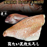 たい タイ 鯛 真鯛 三枚おろし 特大サイズ タイフィーレ 本鯛 真たい 約350〜400g 鯛しゃぶ 刺身 国産 ご…