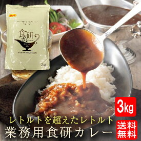 母の日 父の日 2024 ギフト 送料無料 カレー 欧風ビーフカレー 食研カレー 3kg ポイント消化 魚奏社長もお気に入り レトルト 日本食研 カレー 在宅 買置き ごはん 食事 食べ物 惣菜