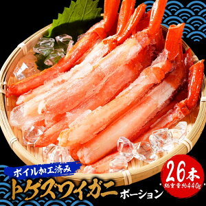 yŒZtz ݌ɏ {C gQYCKj |[V26{ dʖ440g  YCJj I BBQ CN Ԃ  {C |[V ɂ ɓ  ނg Jj