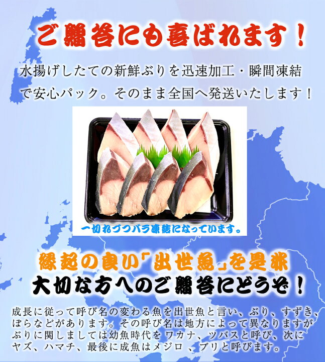 送料無料 同梱 代引き不可 信州まるごとなめ茸 60 1gビン 15本 新作販売 送料無料 同梱 代引き不可 信州まるごとなめ茸 60 1gビン 15本 新作販売