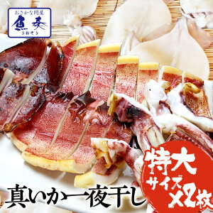 o[xL[Zbg CJ銱 2(TCY×2) ^銱 G 炩  lC ňl풆 o[xL[ CN BBQ Zbg Lv CNo[xL[ Ε 2025 M