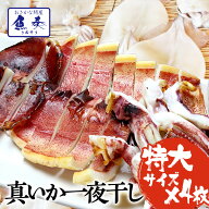 バーベキューセット イカ一夜干し 特大4枚(特大サイズ×4枚) 送料無料 真いか一夜干 烏賊 やわらか 居酒…