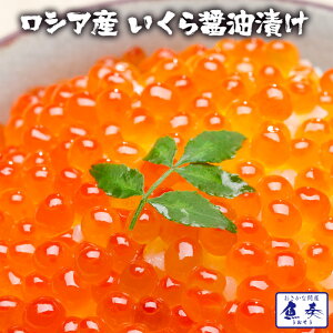 yGg[Ń|Cg10{z CN  ݖЂ 600g ňl VAY Ȗqł͂܂ { yӁzkCA͒ǉ997~ZA