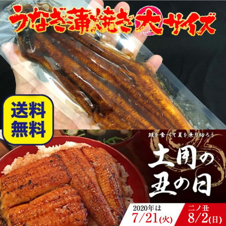楽天市場】土用 丑の日 うなぎ ウナギ 鰻 うなぎ蒲焼 うなぎ長焼 炭火焼き 送料無料 真空パック 最安値挑戦 激安 200g×5本 中国産 うなぎ蒲焼 蒲焼き 土用の丑の日 おかず セット アウトレット 処分 サンプル 子供 食品 冷凍 内祝い 御歳暮 : おさかな問屋 魚奏 楽天市場店 楽天市場】土用 丑の日 うなぎ ウナギ 鰻 うなぎ蒲焼 うなぎ長焼 炭火焼き 送料無料 真空パック 最安値挑戦 激安 200g×5本 中国産 うなぎ蒲焼 蒲焼き 土用の丑の日 おかず セット アウトレット 処分 サンプル 子供 食品 冷凍 内祝い 御歳暮 : おさかな問屋 魚奏 楽天市場店