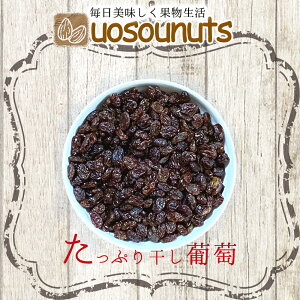 [Y 850g K p  JtHjA hCt[c Ԃǂ ۑ 󂠂 UOSOUNUTS [ Ε 2025 Mtg CN   Ε 