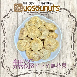yGg[Ń|Cg10{z hC 950g K p Y gRY hCt[c ԉ C`WN e 󂠂 ܂ڂ UOSOUNUTS H Hו y [