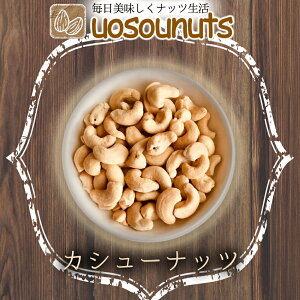 yGg[Ń|Cg10{zfĂJV[ibc   Y ibc K 700g [Xg ƈ ܂ ۑH 󂠂 ܂ڂ UOSOUNUTS ͂ H Hו y lߍ