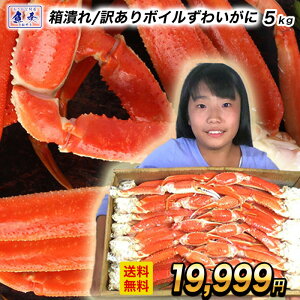 y12/16 10܂ŁIzyŒZtzyԂz󂠂 {CYCKj 5kg 󂠂  Jj I r 킢 {C  ɂ ɓ ɂ {C킢