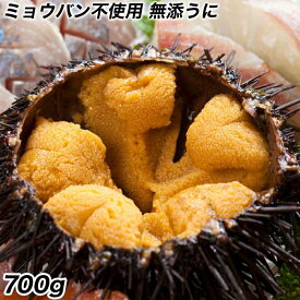 母の日 父の日 2024 ギフト うに 雲丹 ウニ 冷凍生うに 無添加 AA 700g 100g×7パック うに丼約14杯分のお試しサイズ 送料無料ウニ ウニ丼 刺身 うにパスタ うにスパゲッティ うに軍艦 無添うに 無添加うに うに ミョウバン不使用