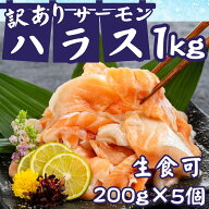 【訳あり】生食可 サーモンハラススライス 切り落とし 生サーモン1kg（200g×5パック）合計1kg 鮭 サーモ…
