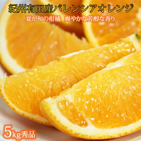 【送料無料】希少な 国産 バレンシアオレンジ 5kg 秀品【国産オレンジ オレンジ 柑橘 フルーツ 和歌山 有田】