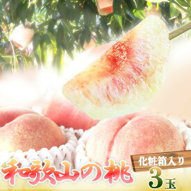 【送料無料】紀州和歌山産の 桃 3玉 化粧箱入【もも 白桃 フルーツ ギフト 贈答】