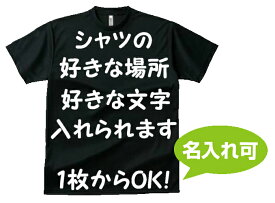 オーダーメイド ドライTシャツ 300-ACT/5900オリジナル 名入れ Tシャツ　チームシャツ 【名入れ可能】