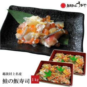 z㑺㖼Y ̔юiij  Mtg i ю  z㑺イ s V