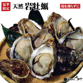 【夏季限定】日本海産・天然岩牡蠣（殻を割らずにお届け）