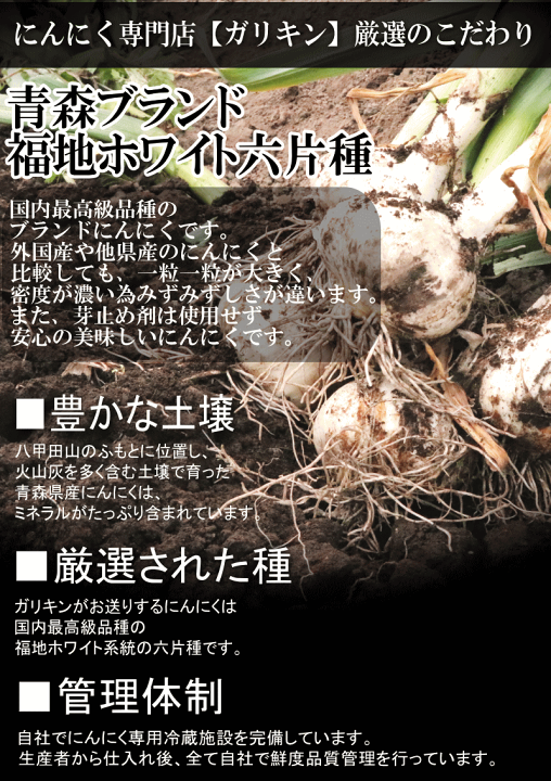 楽天市場】にんにく 青森 バラ 訳あり 250g300g400g500g1kg 送料