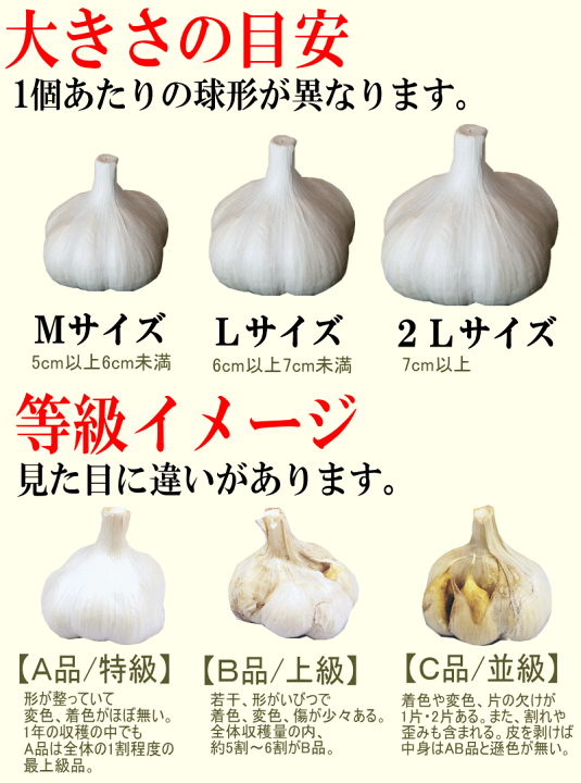 希少　福地村産　福地ホワイト　L 3kg 青森県産　生にんにく　令和7年産 楽天市場】【令和7年産新物】青森県産 生にんにく Lサイズ 1kg
