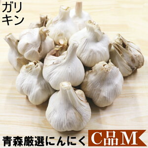 ߘa7NxY!! ɂɂ X Ci/ MTCY 1kg (󂠂) MTCYI 󂠂 1kg Y ɂɂ 󂠂 nzCgZ Hp ɂɂ MTCYyCi / MTCYzKL 2960~ 