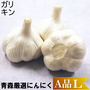 Vߘa7NxY!! ɂɂ X Ai LTCY 1kgY ɂɂ nzCgZ Hp ɂɂ LTCY ʁyAi / LTCYzKL 3760~ 