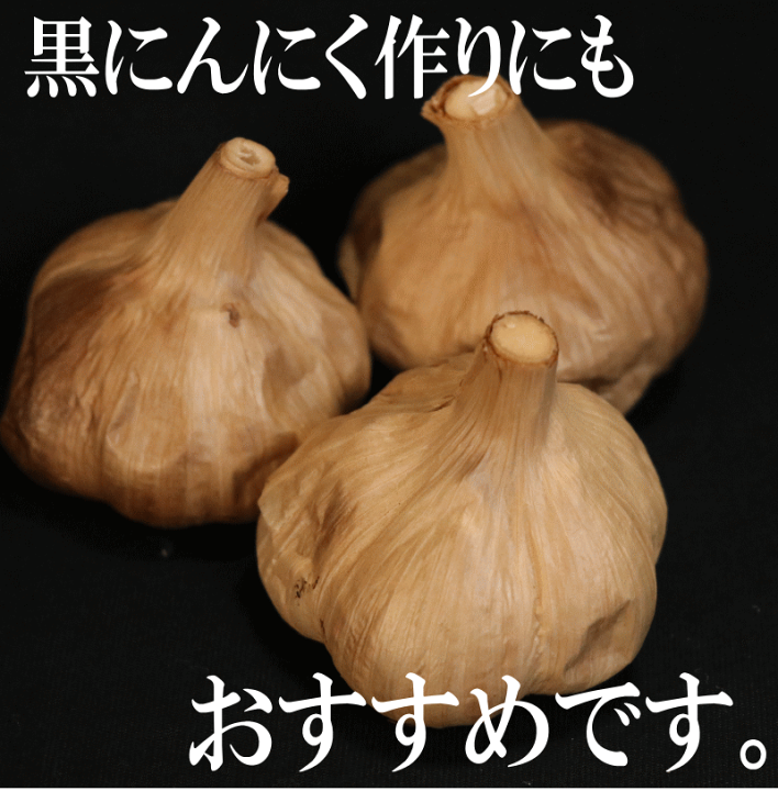 楽天市場】新物☆令和7年度産!! にんにく 青森 A品 Mサイズ 1kg
