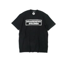 楽天市場】dsquared2 tシャツ 新作の通販