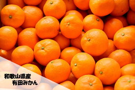 訳あり 有田みかん 和歌山県産 ご家庭用 箱込 2kg