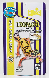 L[ IpQ 60g ঒ގ 