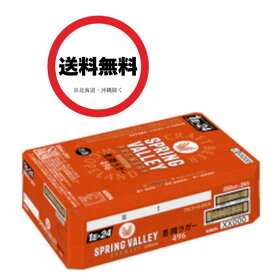 【25年2月製造：25年10月賞味】キリン スプリングバレー豊潤＜496＞ 350ml×1ケース