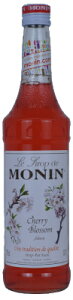 yܖF2027N124zi MONIN Vbv 700ml