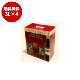 サンタ・レジーナ　赤ワイン　3L×4　（1ケース）　ボックスワイン boxwine　送料無料（北海道・沖縄は除く）