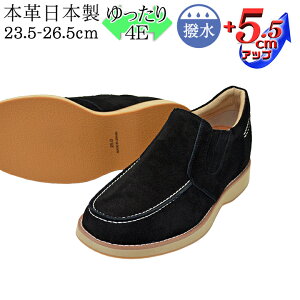 10%OFF Vi V[NbgV[Y Y N  v {v xA Xb| 4E JWA L YAbvV[Y kCHƏ { Y Ch vC YV[Y b