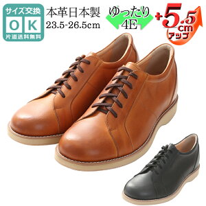 V[NbgV[Y {v Y { v JWAV[Y 5.5cmUP R  L 4E Ch b q[AbvV[Y wȂC R hL /L 516