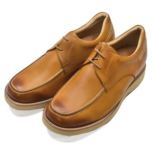 10OFF ʌ V[NbgV[Y {v Y {  L 4E v JWA 70N R 5.5cmUP R hL q[AbvV[Y Ch JWA  b /L 5